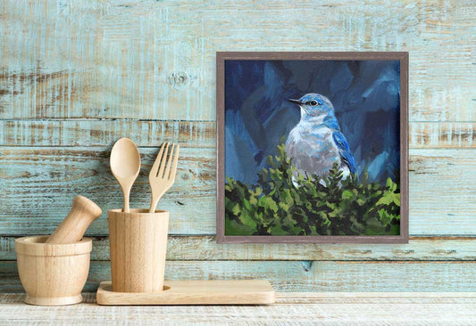 Avian Spotlight - Bluebird Mini Framed Canvas