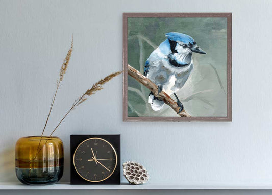 Avian Spotlight - Blue Jay Mini Framed Canvas