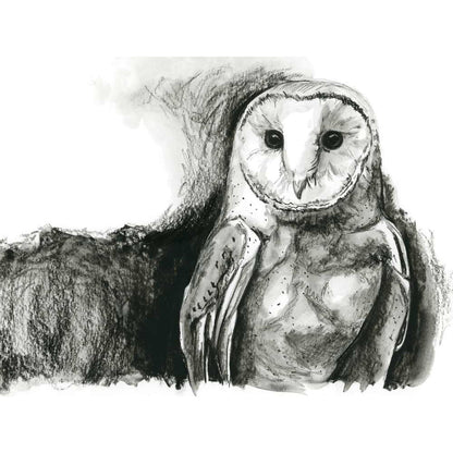 Avian Spotlight - Charcoal Owl Canvas Wall Art