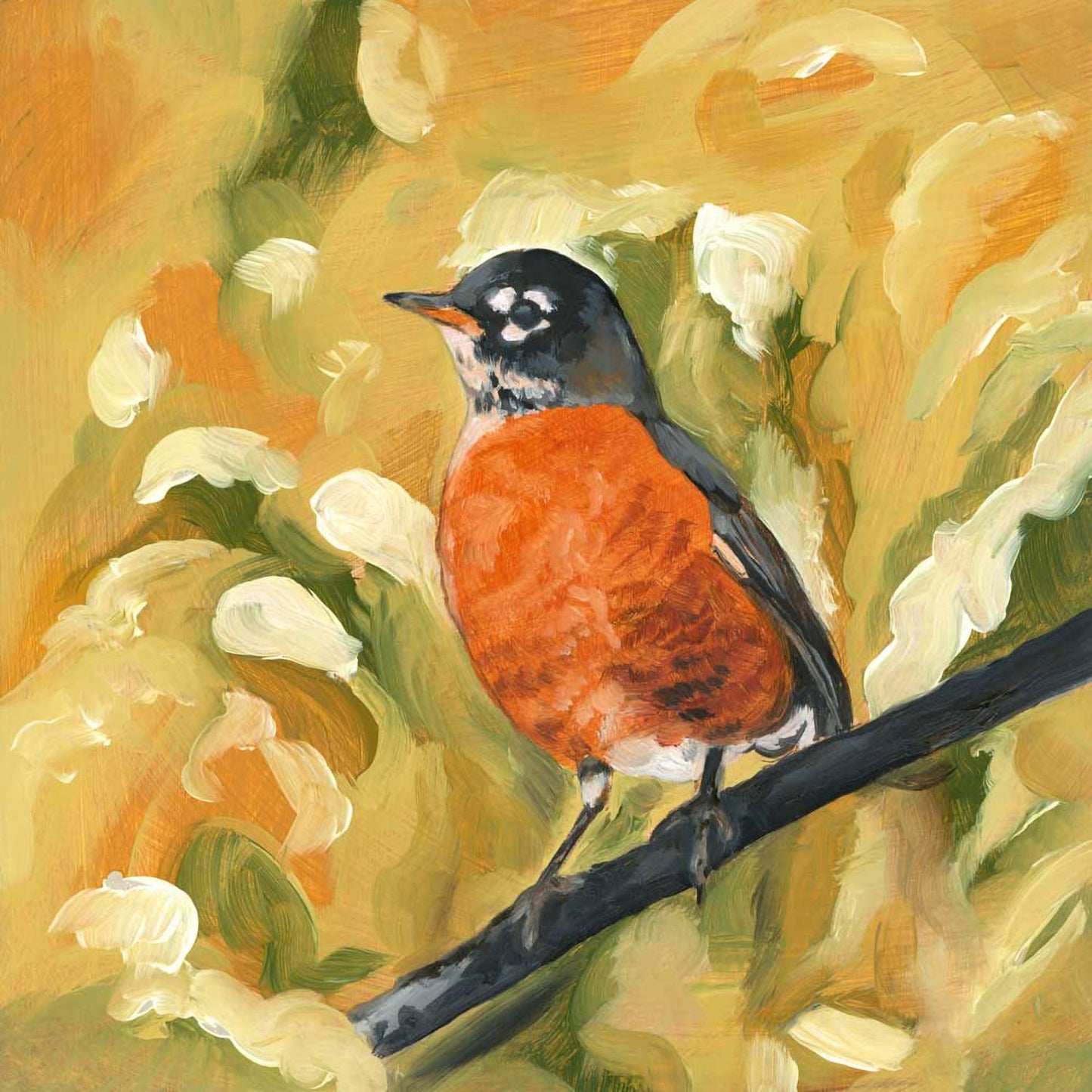 Avian Spotlight - Robin Canvas Wall Art