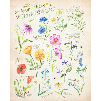 Wildflower Chart Canvas Wall Art - GreenBox Art