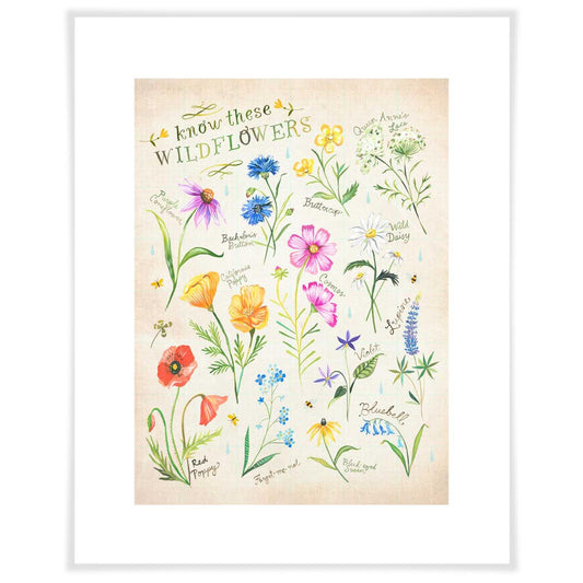 Wildflower Chart Art Prints