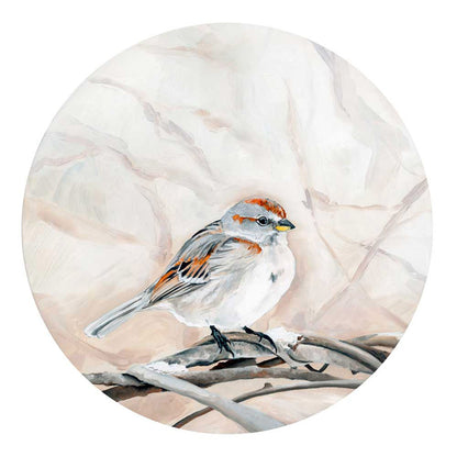 Avian Spotlight - House Sparrow Canvas Wall Art