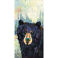 Bright Eyes, Black Bear Canvas Wall Art