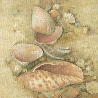 Island Shelling II Canvas Wall Art - GreenBox Art