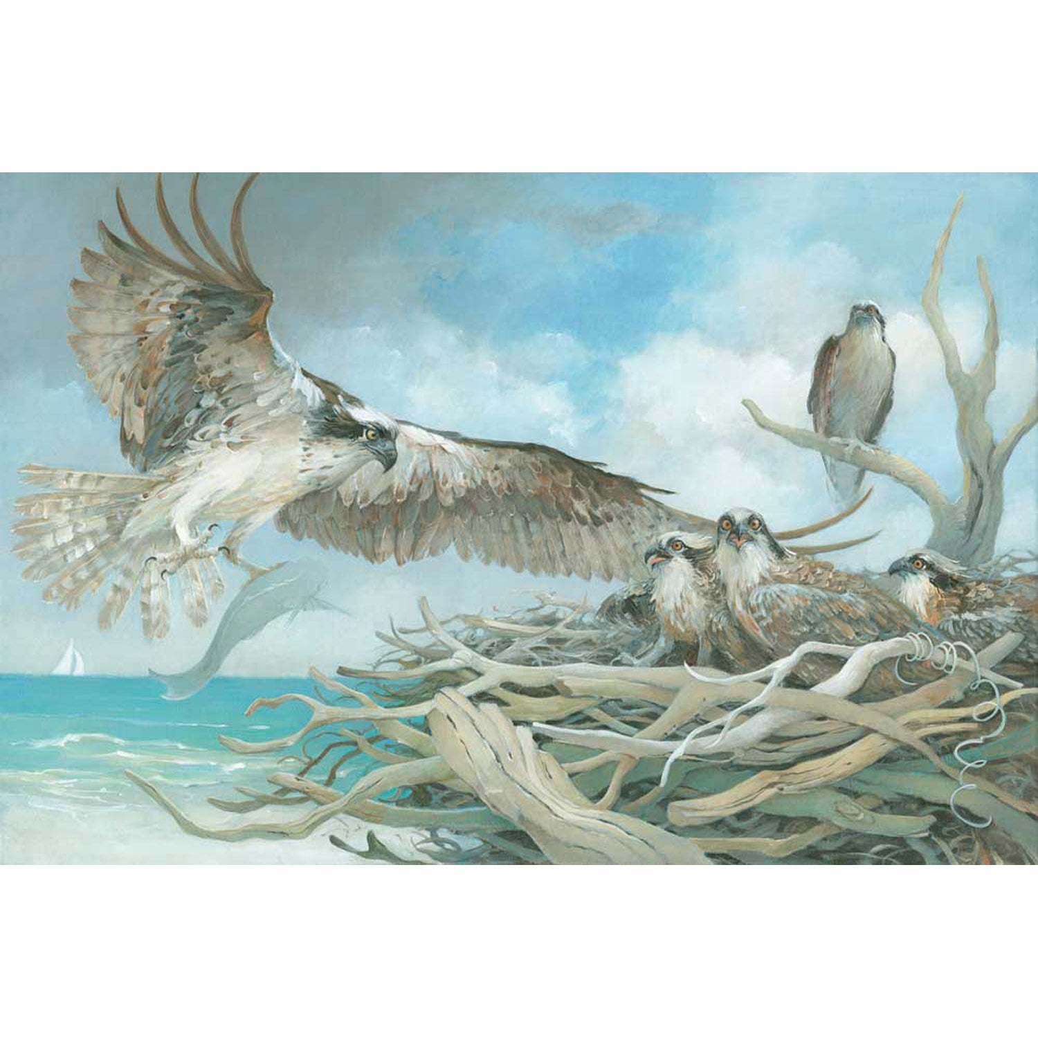 Osprey's Family Affair Canvas Wall Art - GreenBox Art