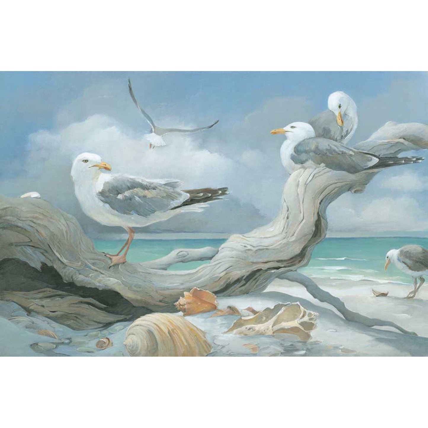 Seagulls At The Seashore Canvas Wall Art - GreenBox Art