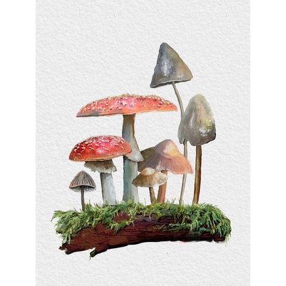 Forest Magic - Mushroom Garden I Canvas Wall Art - GreenBox Art