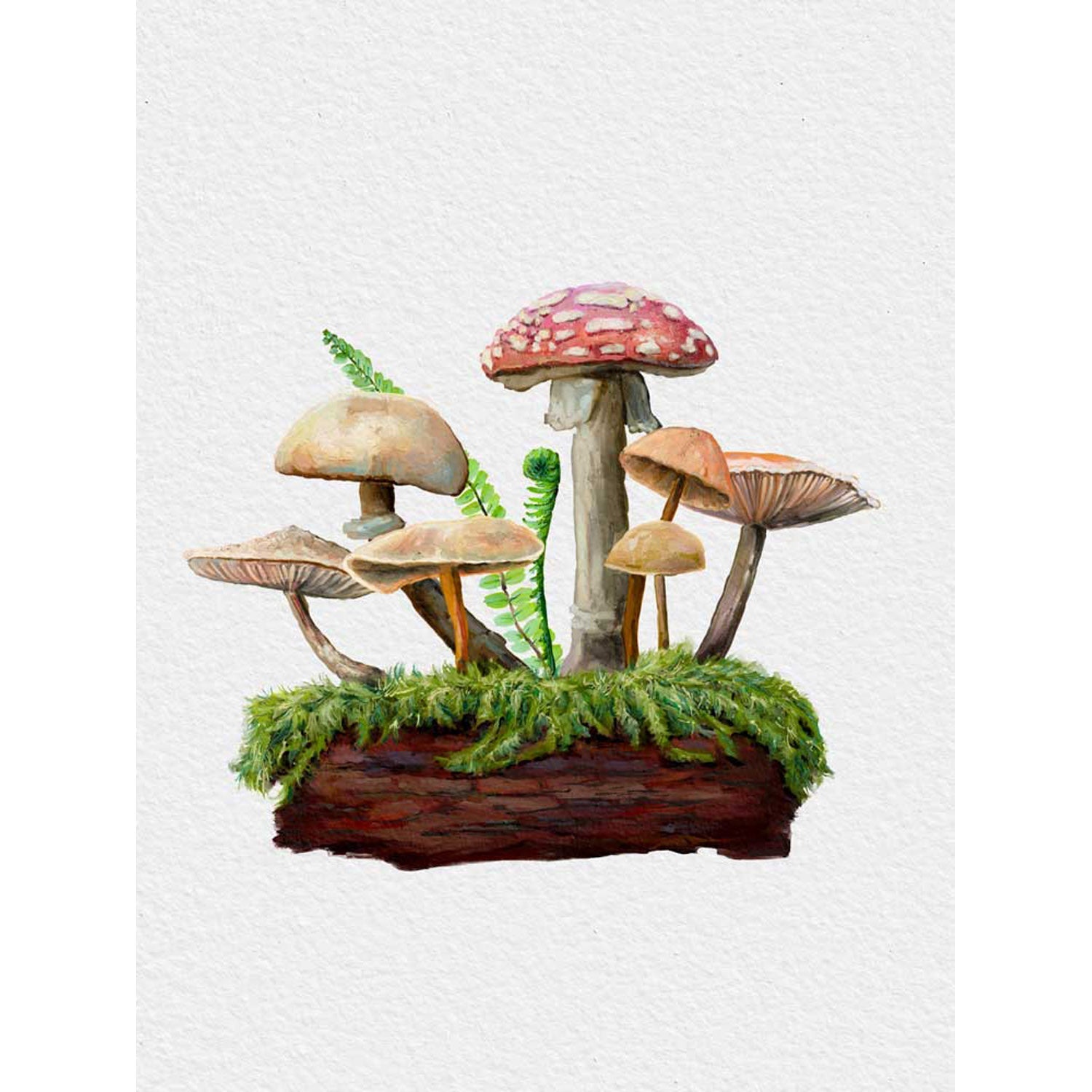 Forest Magic - Mushroom Garden II Canvas Wall Art - GreenBox Art