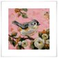 Tufted Titmouse On Pink Art Prints