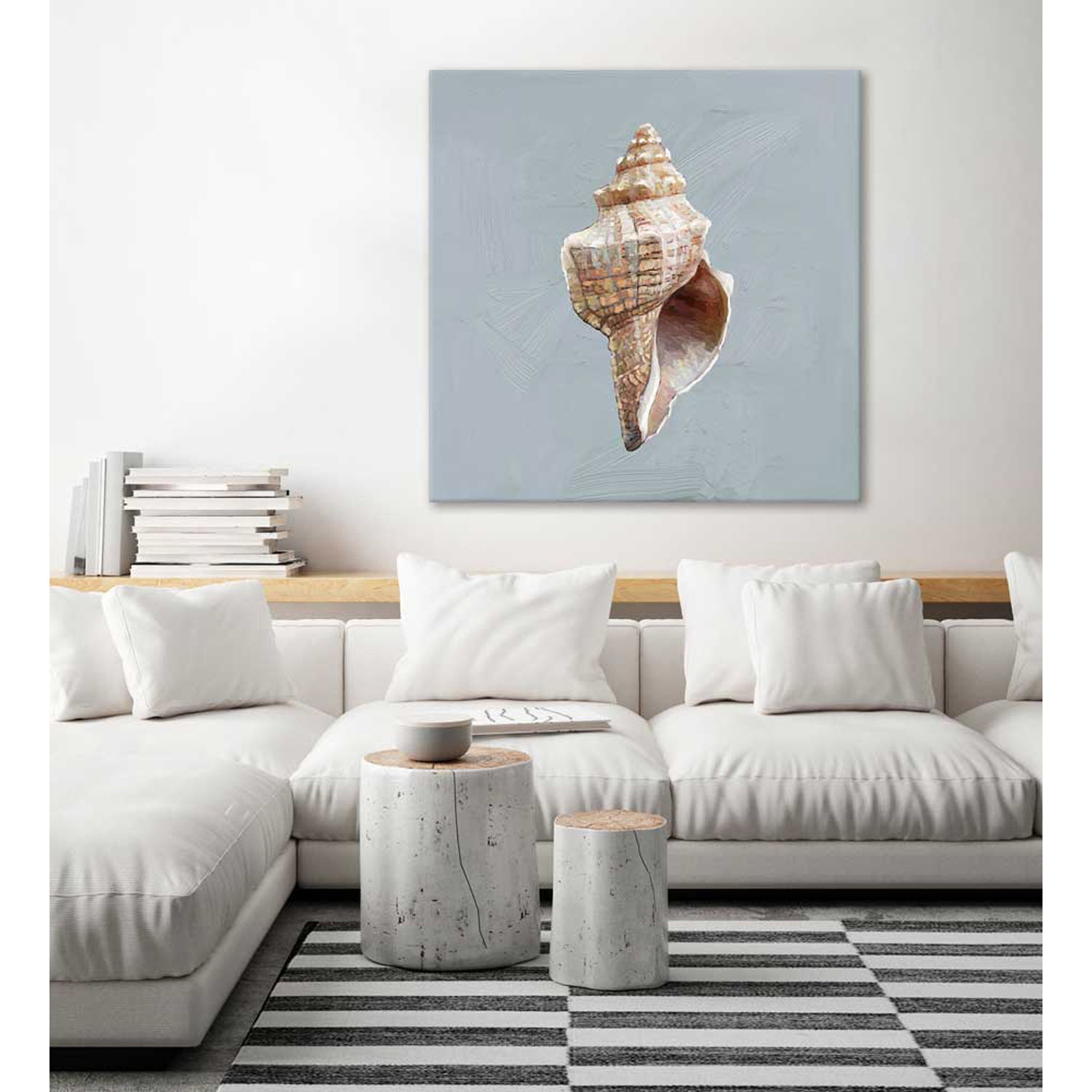 Shell Study - I Canvas Wall Art - GreenBox Art