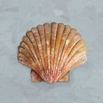 Shell Study - II Canvas Wall Art - GreenBox Art