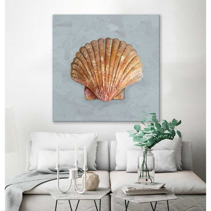 Shell Study - II Canvas Wall Art - GreenBox Art