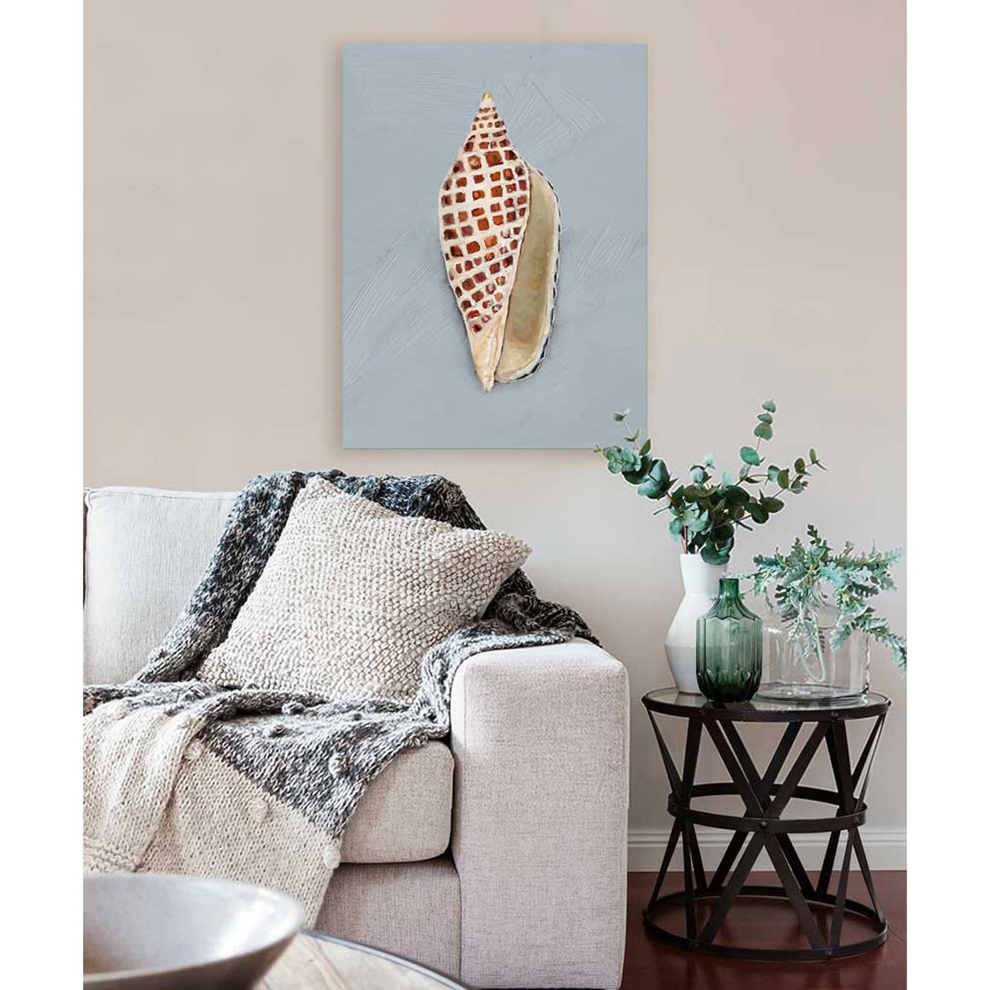 Shell Study - III Canvas Wall Art - GreenBox Art