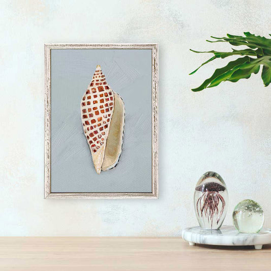 Shell Study - III Mini Framed Canvas - GreenBox Art