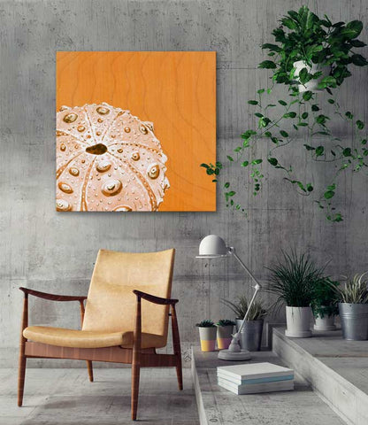Tangerine Urchin Canvas Wall Art