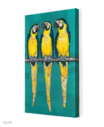 Three Macaws Canvas Wall Art