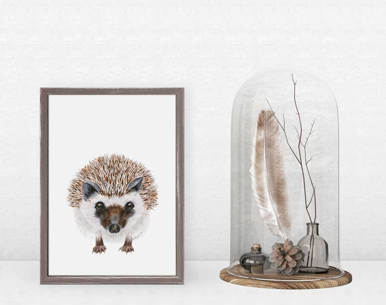 Baby Hedgehog Portrait Mini Framed Canvas