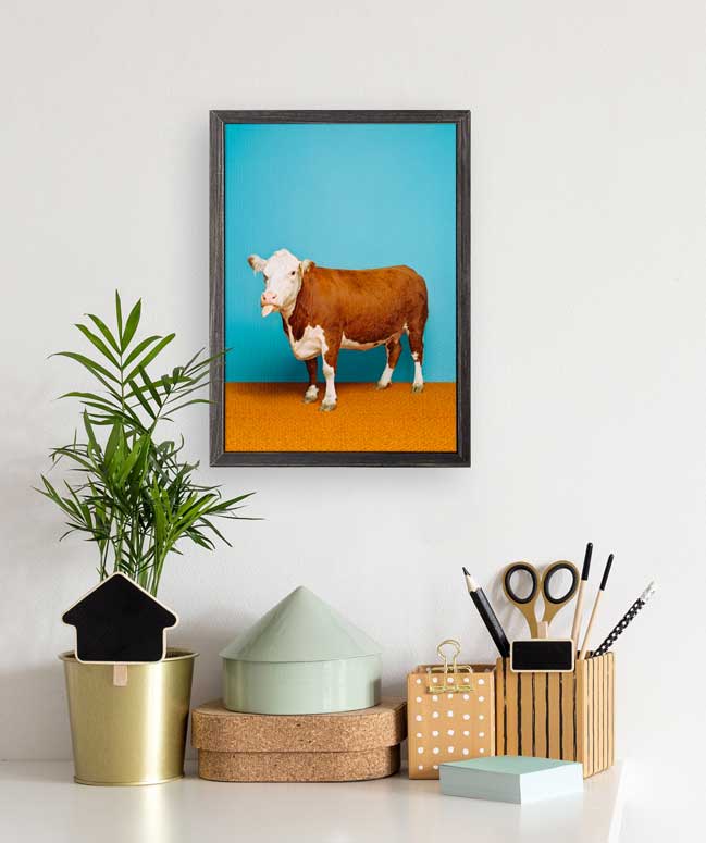 Cow On Bright Blue Mini Framed Canvas