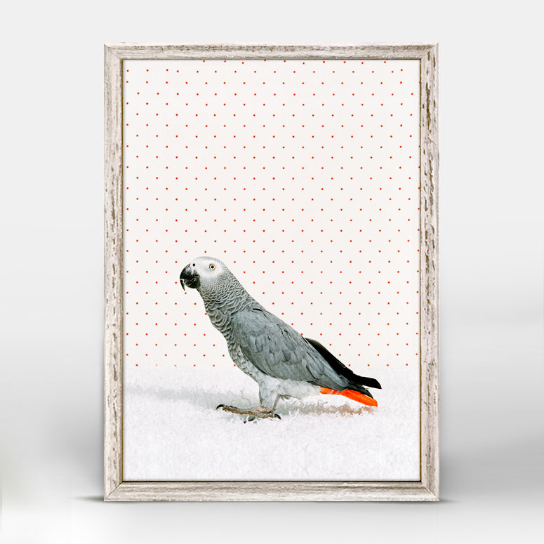 Parrot on White Mini Framed Canvas
