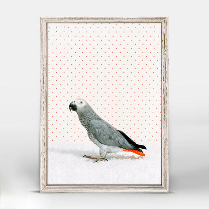 Parrot on White Mini Framed Canvas
