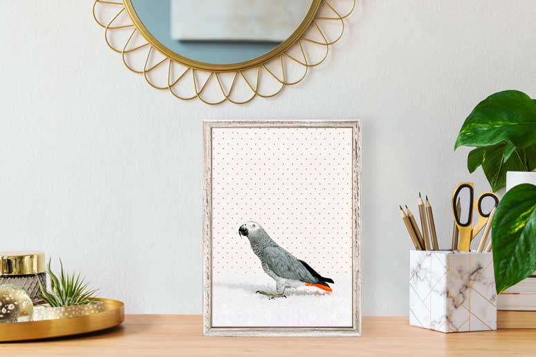 Parrot on White Mini Framed Canvas - GreenBox Art