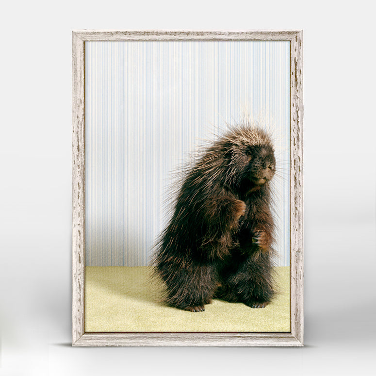 Porcupine On Gray Mini Framed Canvas