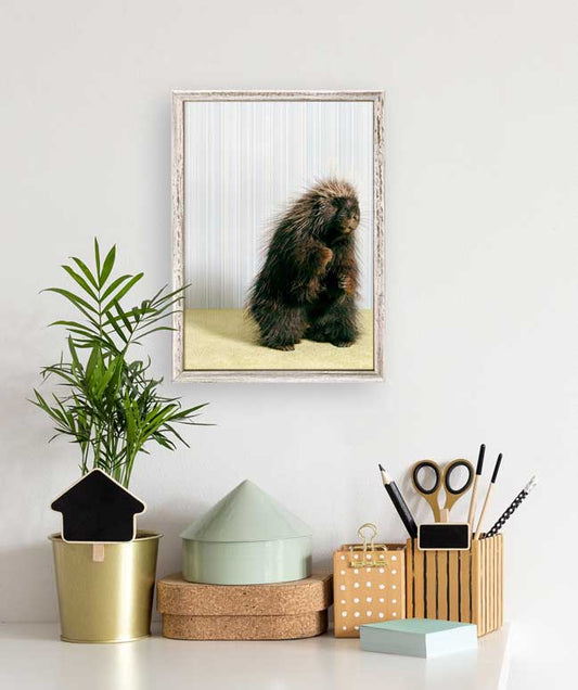 Porcupine On Gray Mini Framed Canvas