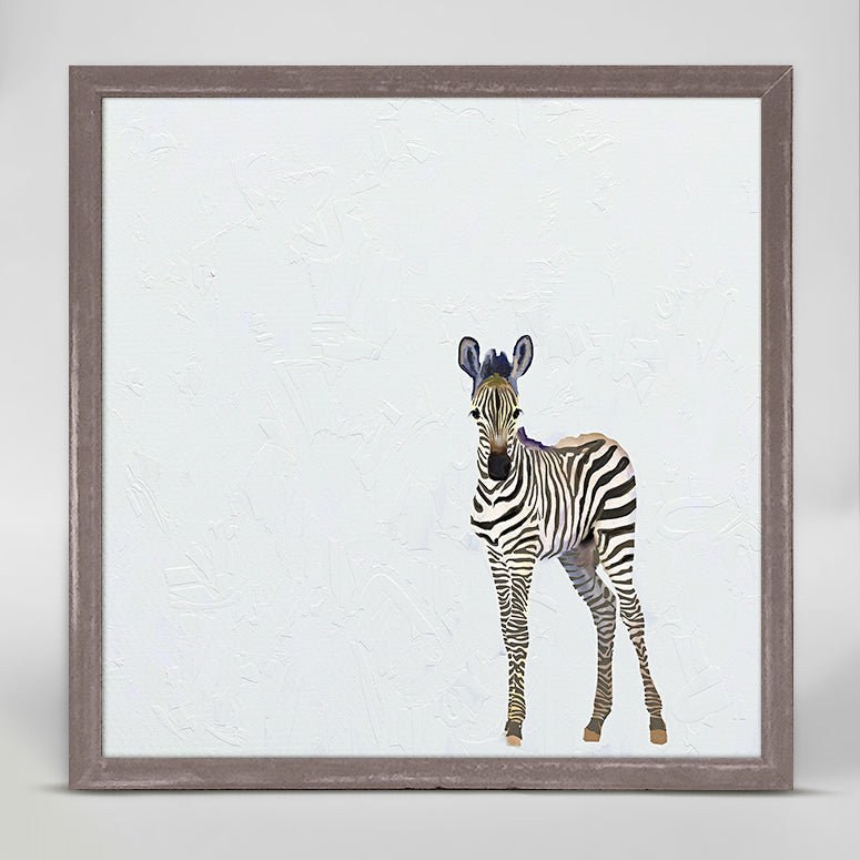 Baby Zebra Mini Framed Canvas