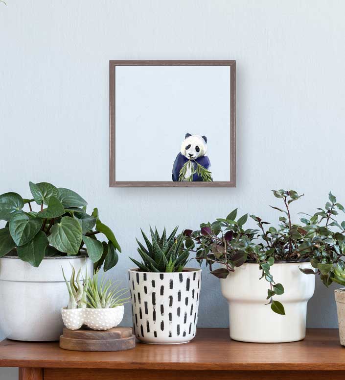 Baby Panda Cub Mini Framed Canvas