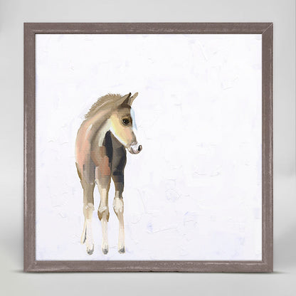 Baby Horse Mini Framed Canvas