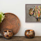 Bison on Putty Mini Framed Canvas