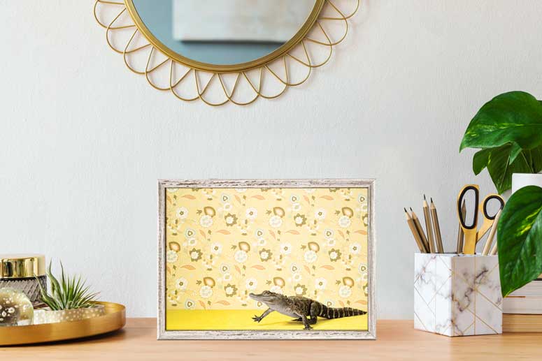 Alligator On Yellow Mini Framed Canvas