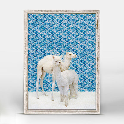 Camel and Llama on Blue Mini Framed Canvas - GreenBox Art