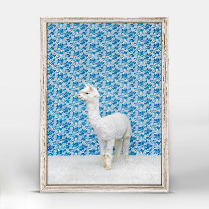 Llama On Blue Mini Framed Canvas