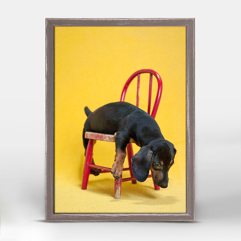 Dog Collection - Dachshund On Yellow Mini Framed Canvas