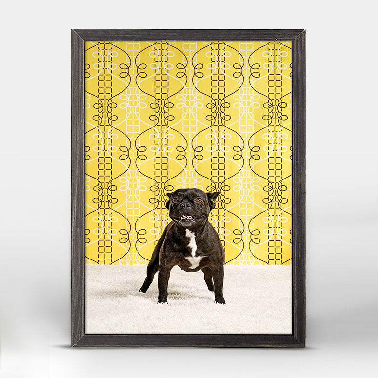 Dog Collection - Sofi The Bulldog Mini Framed Canvas - GreenBox Art