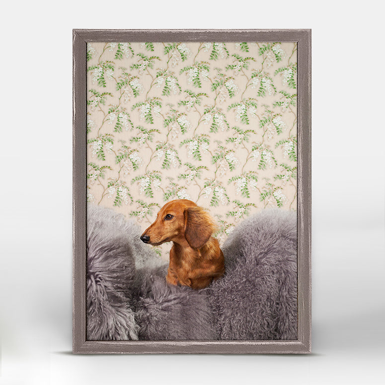 Dog Collection - Dachshund On Fur Mini Framed Canvas