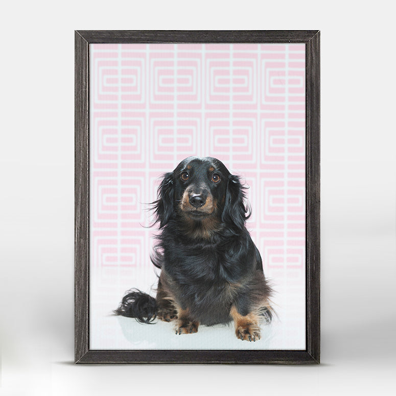 Dog Collection - Doxie On Pink Mini Framed Canvas - GreenBox Art