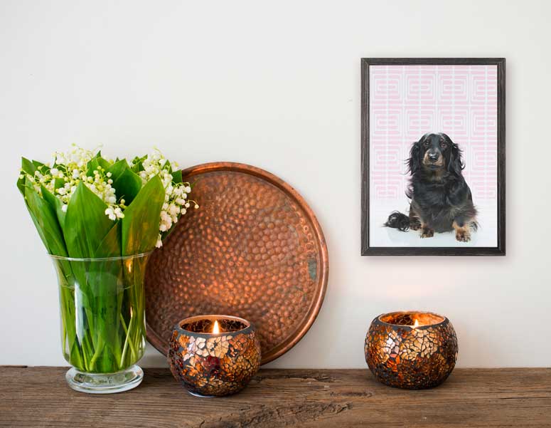 Dog Collection - Doxie On Pink Mini Framed Canvas - GreenBox Art