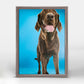 Dog Collection - Chocolate Lab On Blue Mini Framed Canvas