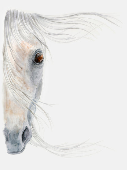 Horse Portrait 1 Canvas Wall Art
