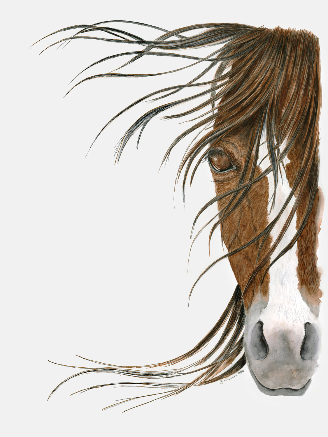 Horse Portrait 2 Canvas Wall Art