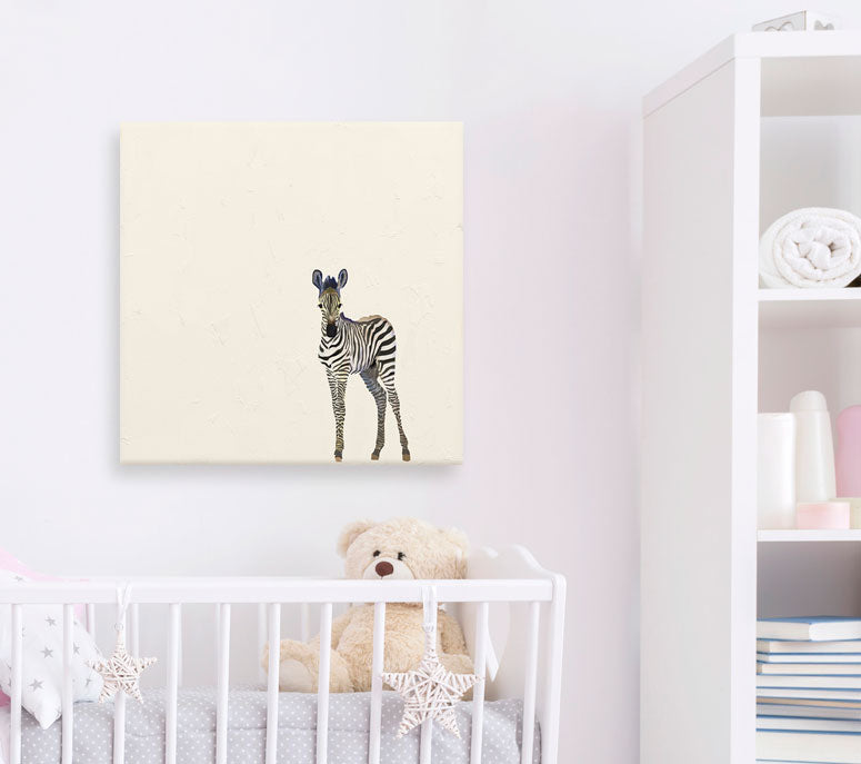 Baby Zebra - Cream Canvas Wall Art