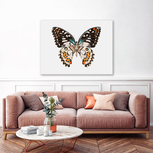 Butterfly Portrait Canvas Wall Art - GreenBox Art