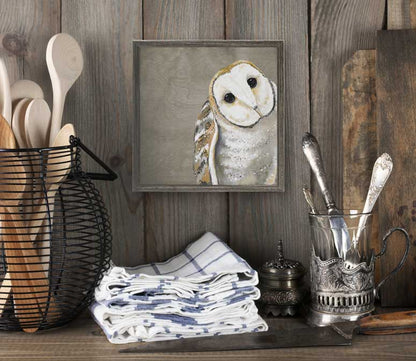 Sweet Barn Owl Mini Framed Canvas