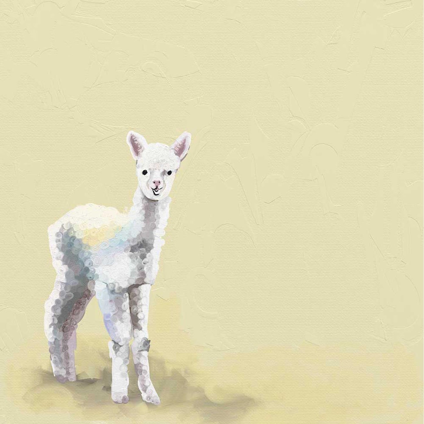 Little Baby Llama Canvas Wall Art