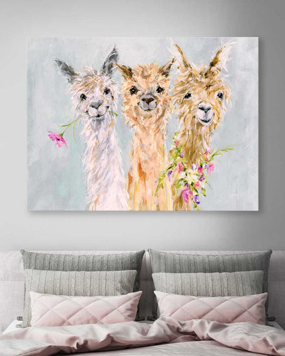 Sweet Alpacas Canvas Wall Art - GreenBox Art