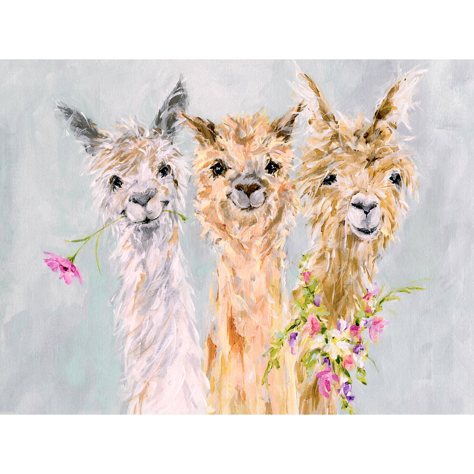 Sweet Alpacas Canvas Wall Art - GreenBox Art