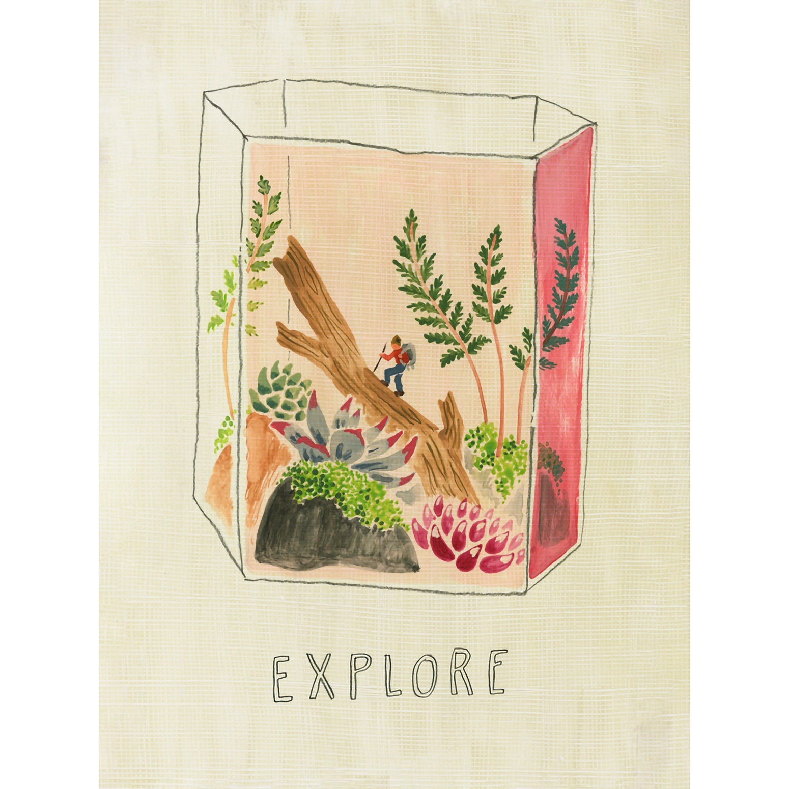 Terrarium Pink Canvas Wall Art - GreenBox Art